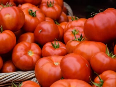 México vigilará prohibición de entrada de tomates frescos a EE.UU.