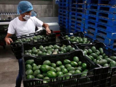 Cheve, tequila y aguacate mexicano ‘conquistan’ EUA