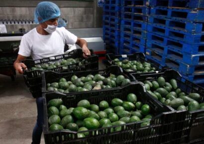 Cheve, tequila y aguacate mexicano ‘conquistan’ EUA