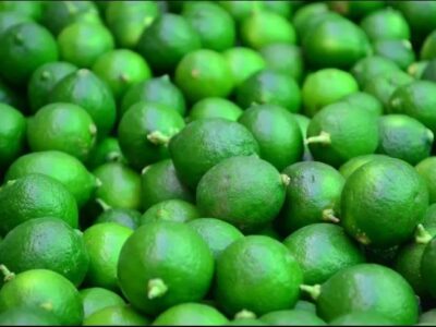 El precio del limón ha comenzado a bajar: Profeco