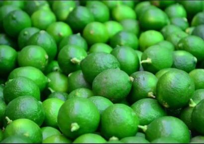 El precio del limón ha comenzado a bajar: Profeco