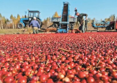 Exportaciones del campo mexicano hilaron 12 años de crecimiento en el 2021