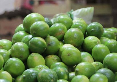 Comerciantes compran limón a 44 y lo venden a 80 pesos
