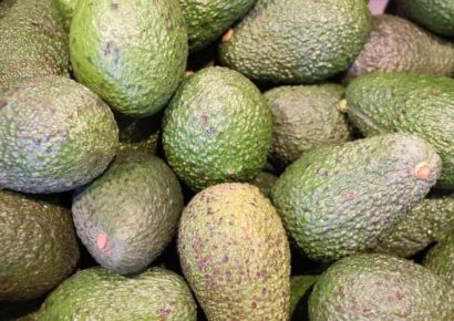 México exporta 135 mil toneladas de aguacate a EU