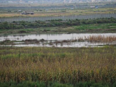 Académicos ven riesgos en permiso a construcciones en el lago de Texcoco