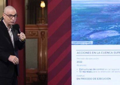 Gobierno de México declara área natural protegida el lago de Texcoco