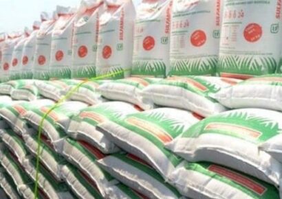 Se dispara 300% el precio de fertilizantes en México por conflicto Rusia-Ucrania: agricultores