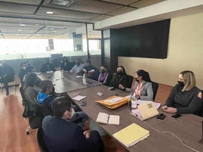 Se ahorra instituto vehicular 35 mdp en placas y calcomanías