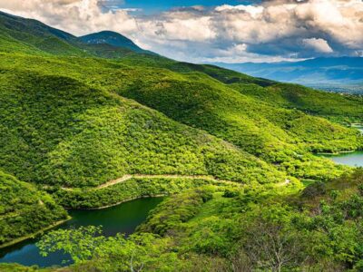 Ley de la Industria Eléctrica viola derecho a medio ambiente sano, denuncian ambientalistas